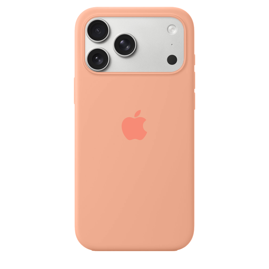 iPhone 17 Pro Max iPhone Silicone Case (Begonia)